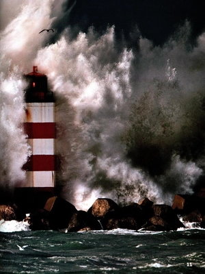 bộ our world american english 5: student's book with online practice 2nd edition - Ảnh 11