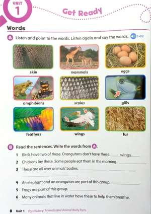 bộ oxford discover 2nd edition: level 2: student book pack - Ảnh 6