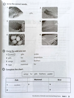 bộ oxford discover: level 2: workbook with online practice - 2nd edition - Ảnh 5