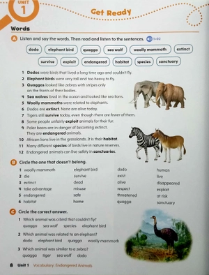 bộ oxford discover: level 5: student book pack, 2nd edition - Ảnh 3