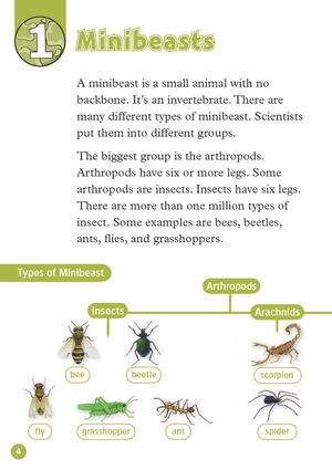 bộ oxford read and discover 3 amazing minibeasts - Ảnh 7
