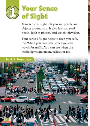 bộ oxford read and discover 3 your five senses - Ảnh 6