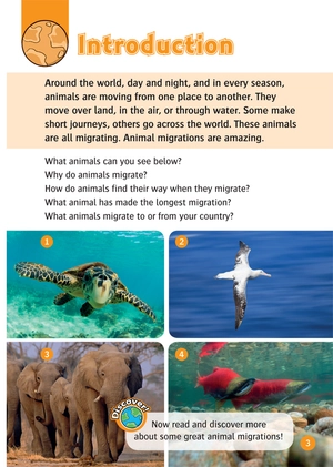 bộ oxford read and discover 5 great migrations - Ảnh 5