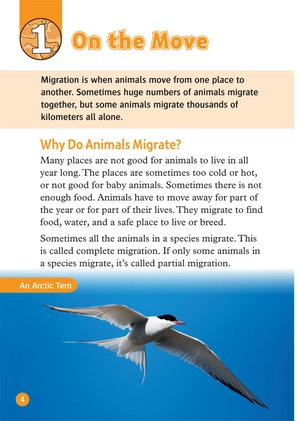 bộ oxford read and discover 5 great migrations - Ảnh 6