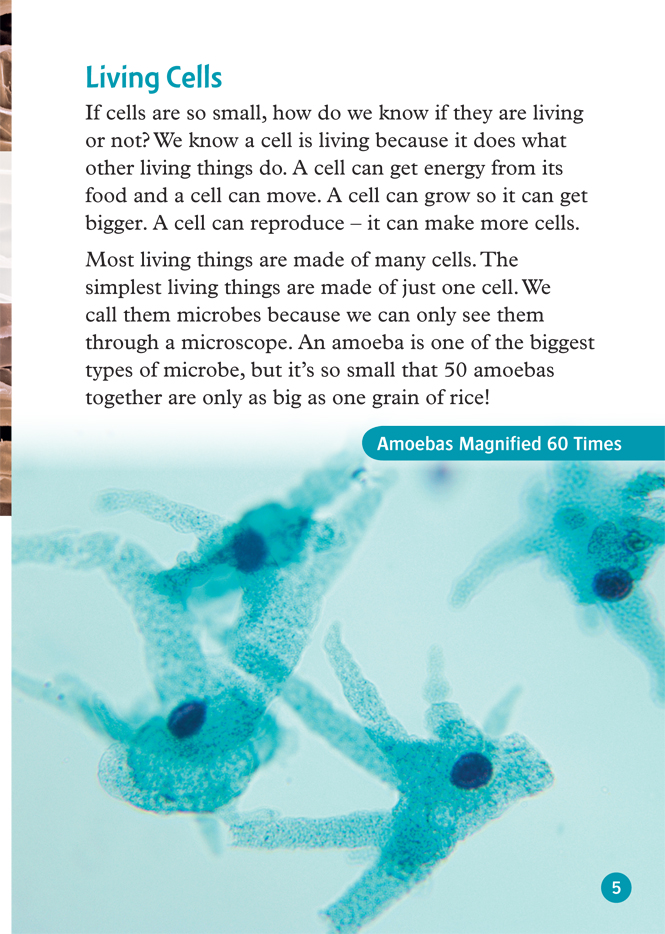 Bộ Oxford Read and Discover 6 Cells and Microbes - Ảnh 7