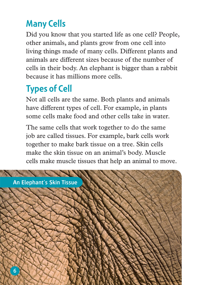 Bộ Oxford Read and Discover 6 Cells and Microbes - Ảnh 8