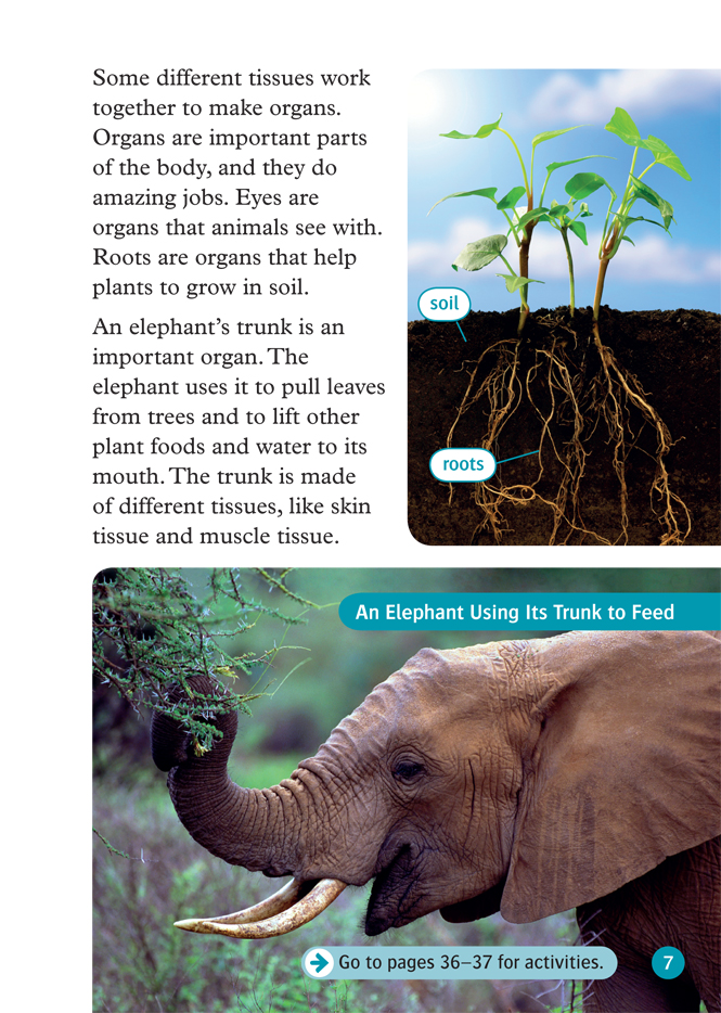 Bộ Oxford Read and Discover 6 Cells and Microbes - Ảnh 9