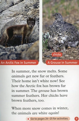 bộ oxford read and discover: level 2: camouflage - Ảnh 10