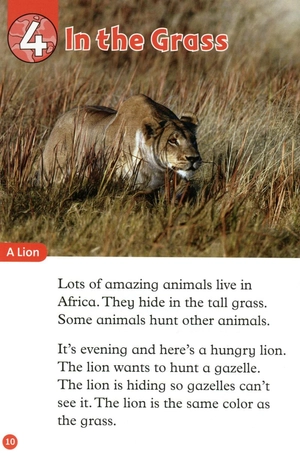 bộ oxford read and discover: level 2: camouflage - Ảnh 11