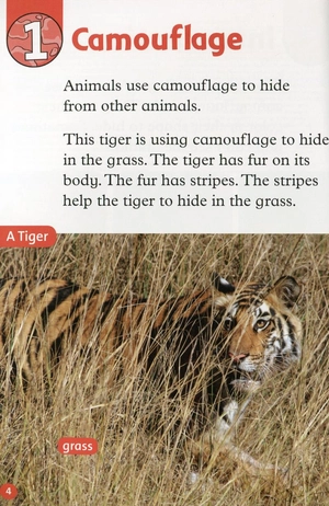 bộ oxford read and discover: level 2: camouflage - Ảnh 5