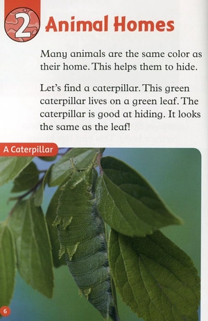 bộ oxford read and discover: level 2: camouflage - Ảnh 7