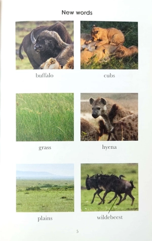 bộ penguin readers level 1: bbc dynasties: lions - Ảnh 5