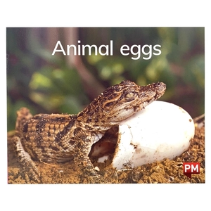 bộ pm readers set 1 - vui học tiếng anh qua truyện tranh - Ảnh 5