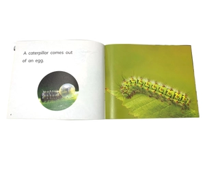 bộ pm readers set 1 - vui học tiếng anh qua truyện tranh - Ảnh 7