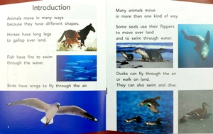 bộ pm readers set 2 - vui học tiếng anh qua truyện tranh - Ảnh 13