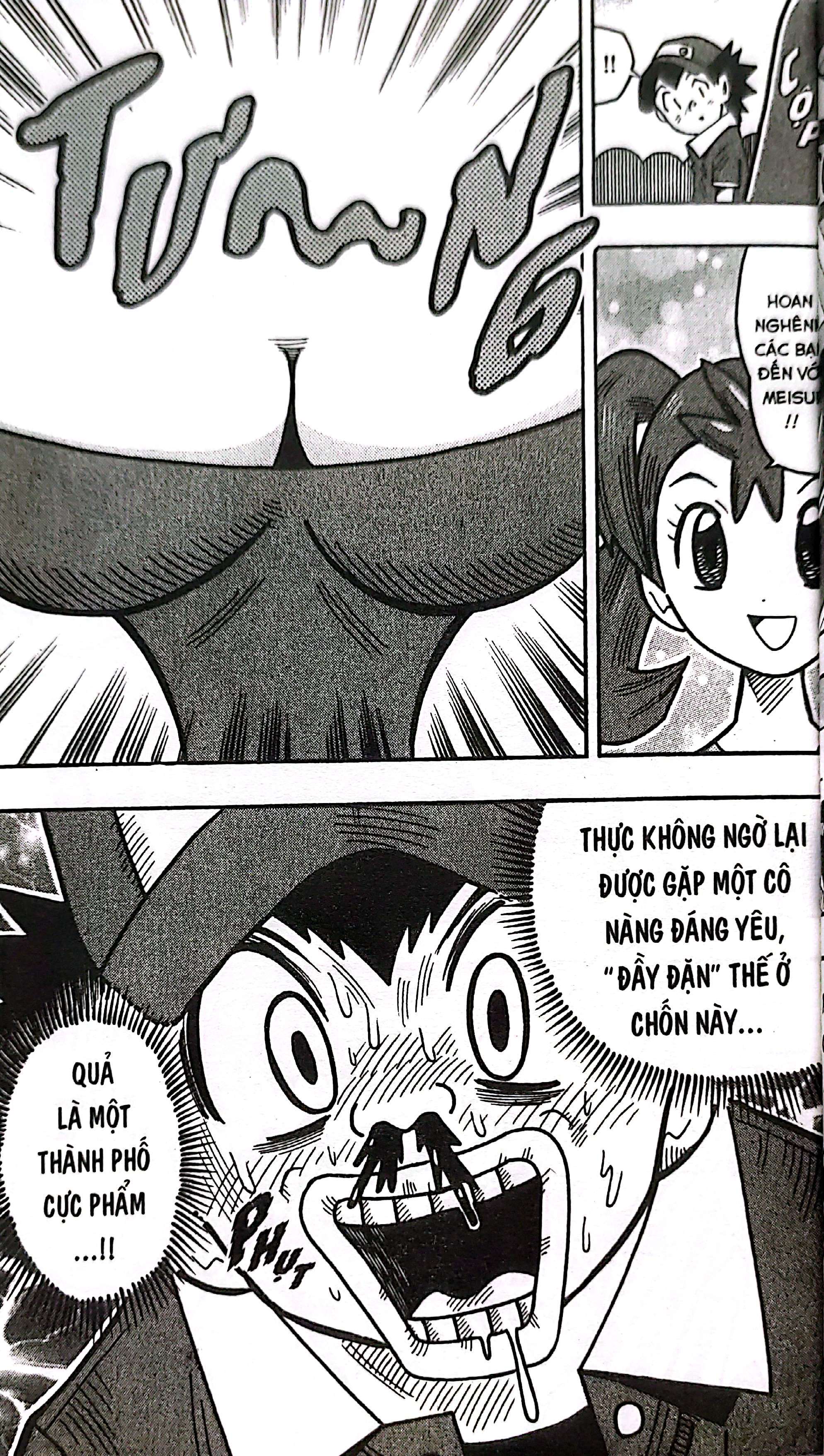 Bộ Pokémon - Cuộc Phiêu Lưu Của Pippi X.Y - Tập 1 - Ảnh 10