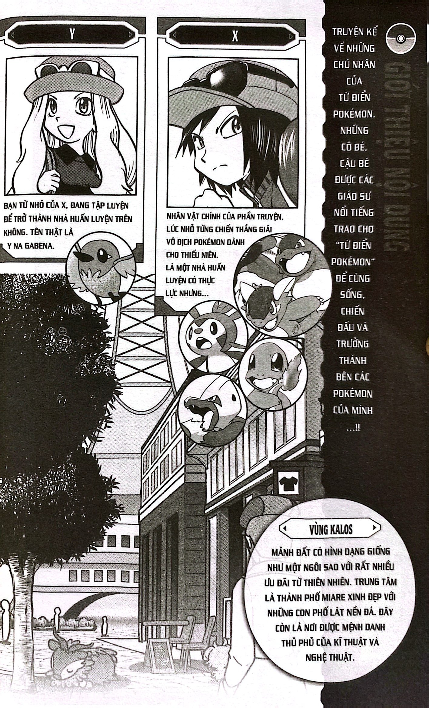 Bộ Pokémon Đặc Biệt - Tập 58 - Ảnh 4