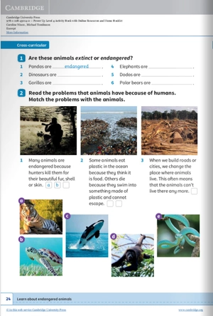 bộ power up level 4 activity book with online resources and home booklet - Ảnh 4