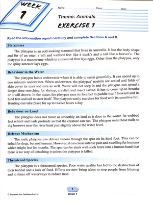 bộ primary level score workbook 4 - Ảnh 4