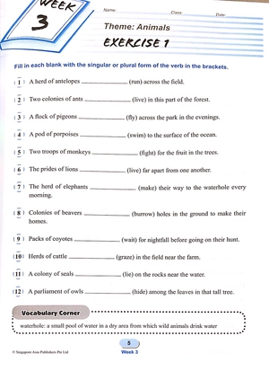 bộ primary level score workbook 4 - Ảnh 6