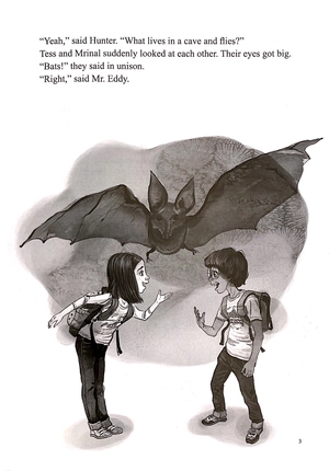 bộ pyp readers. 3-04/batty - Ảnh 5