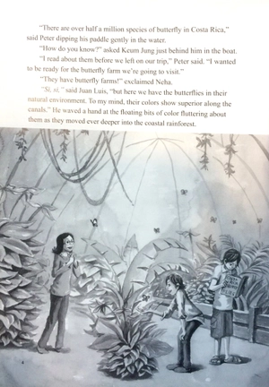 bộ pyp readers. 5-08/mermaid - Ảnh 5