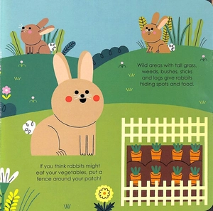 bộ rabbit (my little green world 5) - Ảnh 4