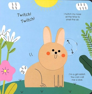 bộ rabbit (my little green world 5) - Ảnh 5