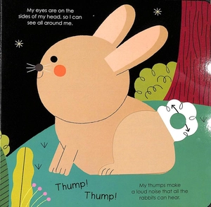 bộ rabbit (my little green world 5) - Ảnh 7
