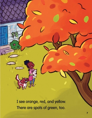 bộ rainbow days 1 - the gray day (an acorn book) - Ảnh 9