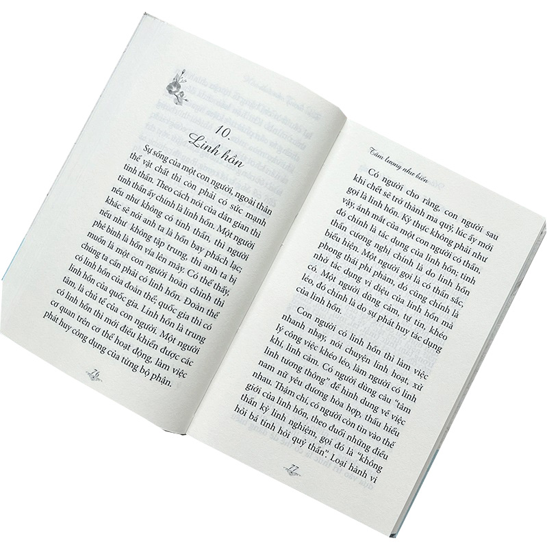 bộ ranh giới giữa mê và ngộ - tập 4: tâm lượng như biển - Ảnh 5