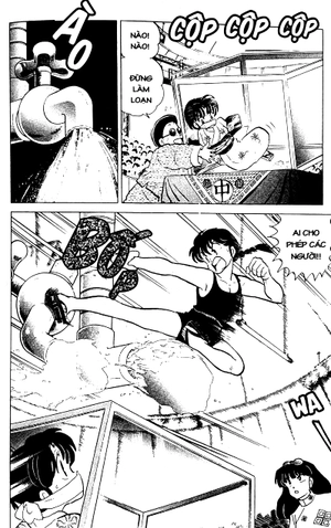 bộ ranma 1/2 - tập 6 - Ảnh 7