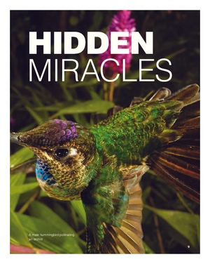 bộ reading with ted student book3 - Ảnh 5