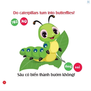 bộ rèn luyện iq-eq-cq - mẹ hỏi bé trả lời 1 - song ngữ anh-việt - Ảnh 3