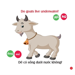 bộ rèn luyện iq-eq-cq - mẹ hỏi bé trả lời 2 - song ngữ anh-việt - Ảnh 5