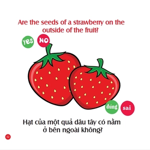 bộ rèn luyện iq-eq-cq - mẹ hỏi bé trả lời 4 - song ngữ anh-việt - Ảnh 3