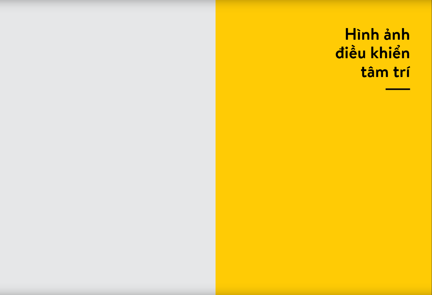 bộ rio book no.3 - hình ảnh điều khiển tâm trí - Ảnh 2