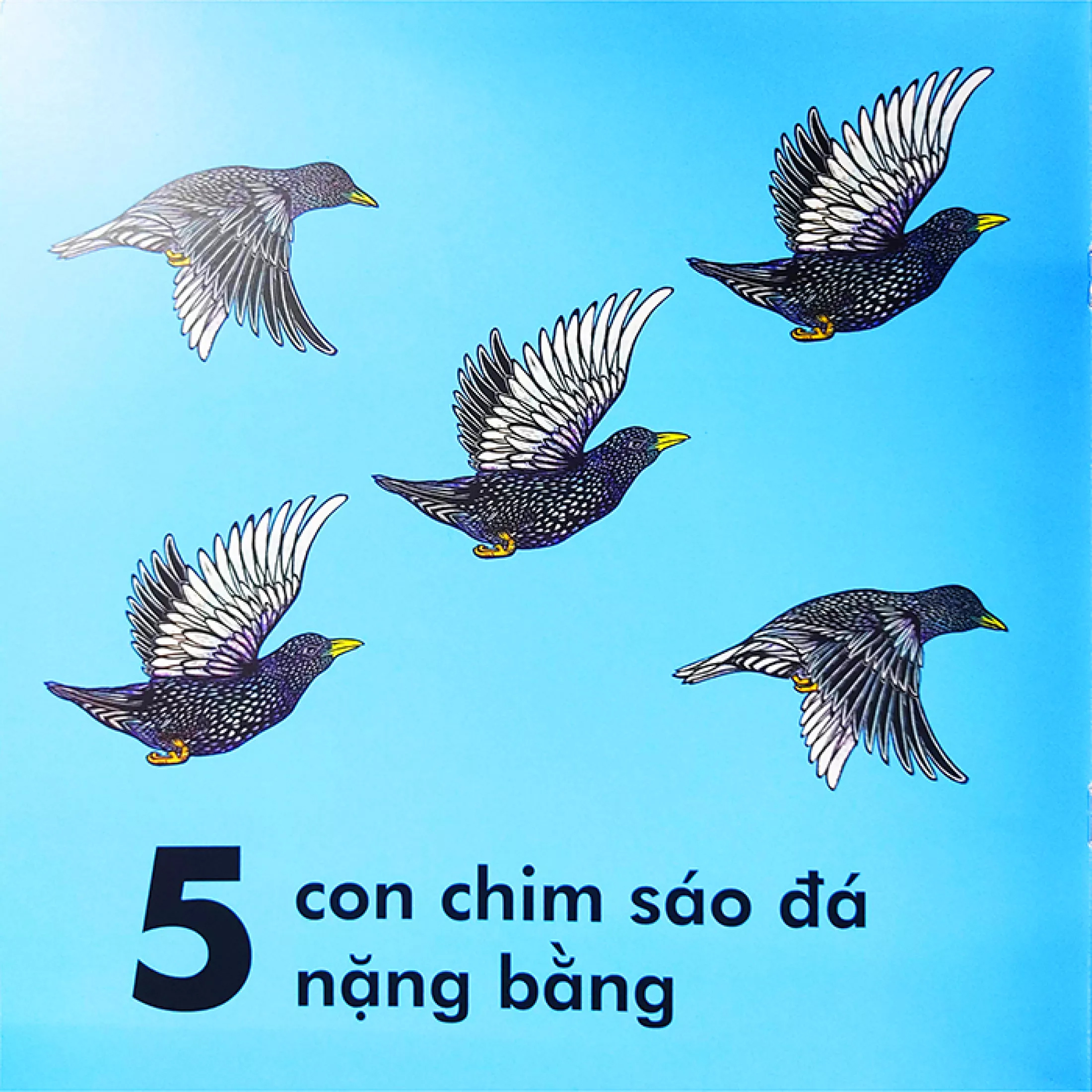 bọ rùa nặng chừng nào? (tái bản 2023) - Ảnh 3