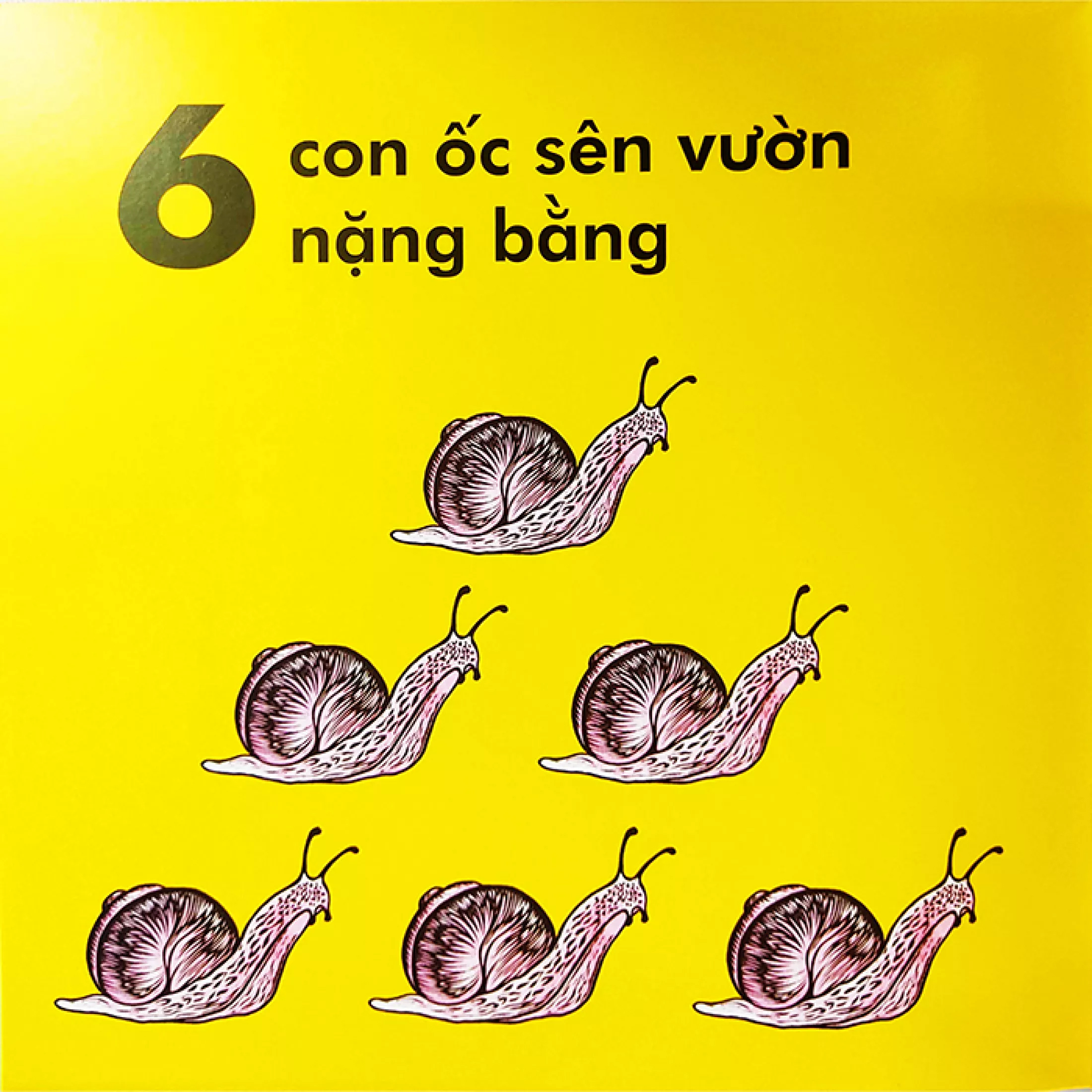 bọ rùa nặng chừng nào? (tái bản 2023) - Ảnh 6