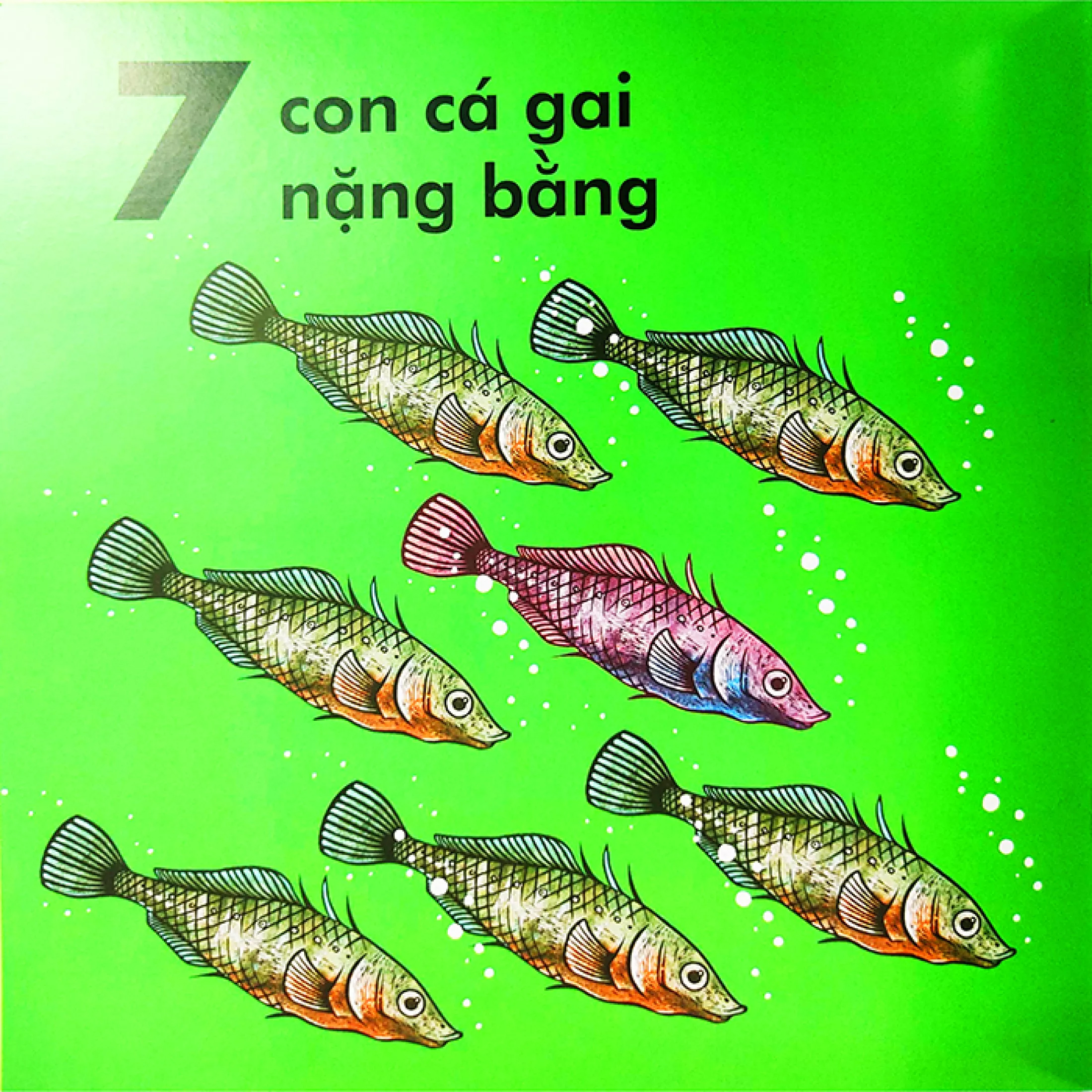 bọ rùa nặng chừng nào? (tái bản 2023) - Ảnh 8