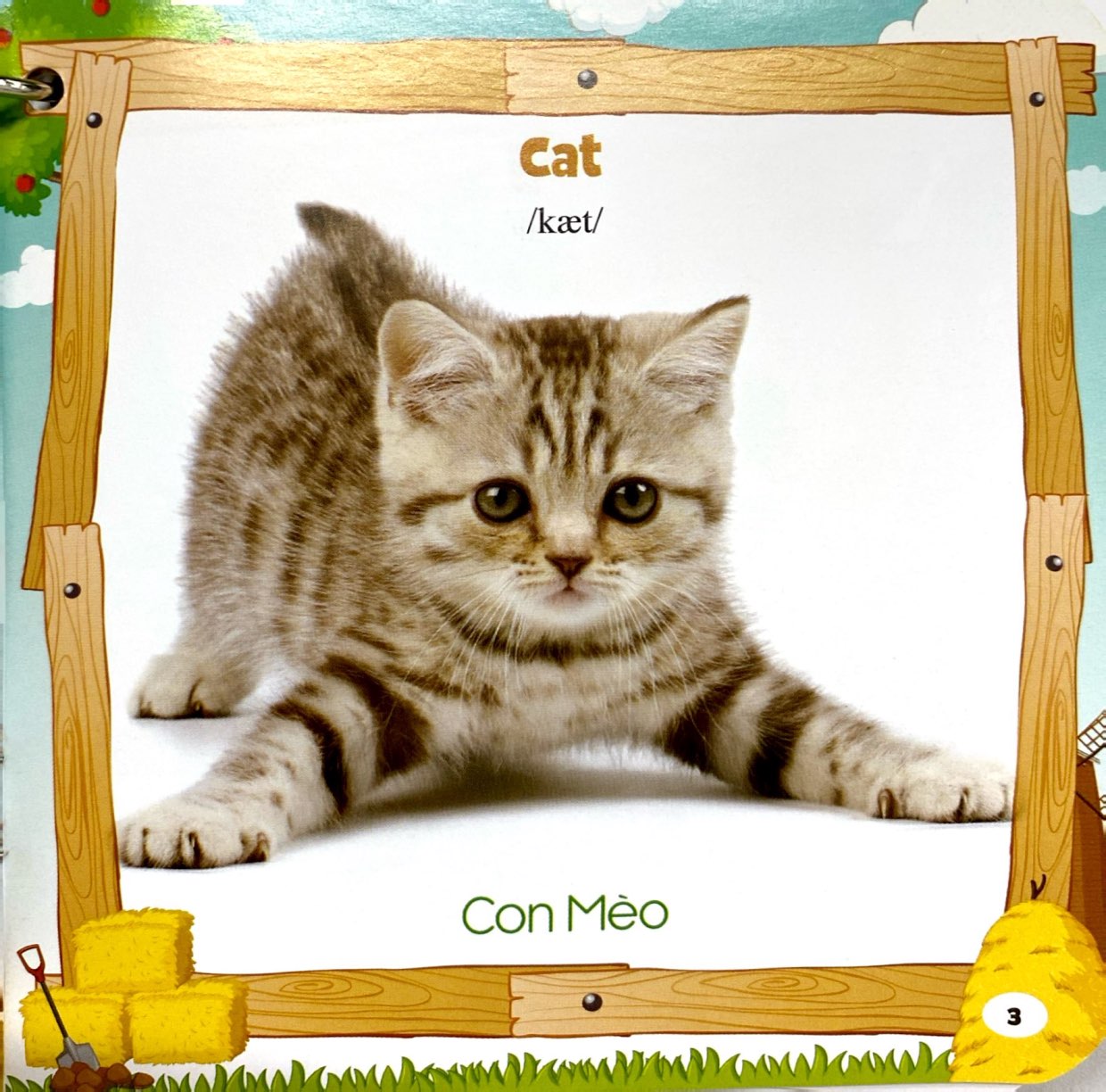 bộ sách bách khoa toàn thư cho bé (bộ 5 cuốn) - Ảnh 6