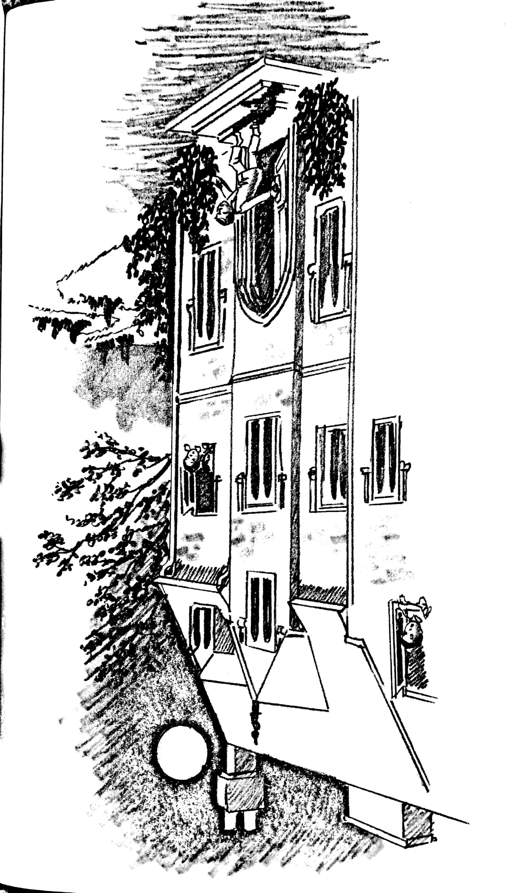 bộ sách chân dung những người thay đổi thế giới - charles darwin là ai? (tái bản 2023) - Ảnh 10