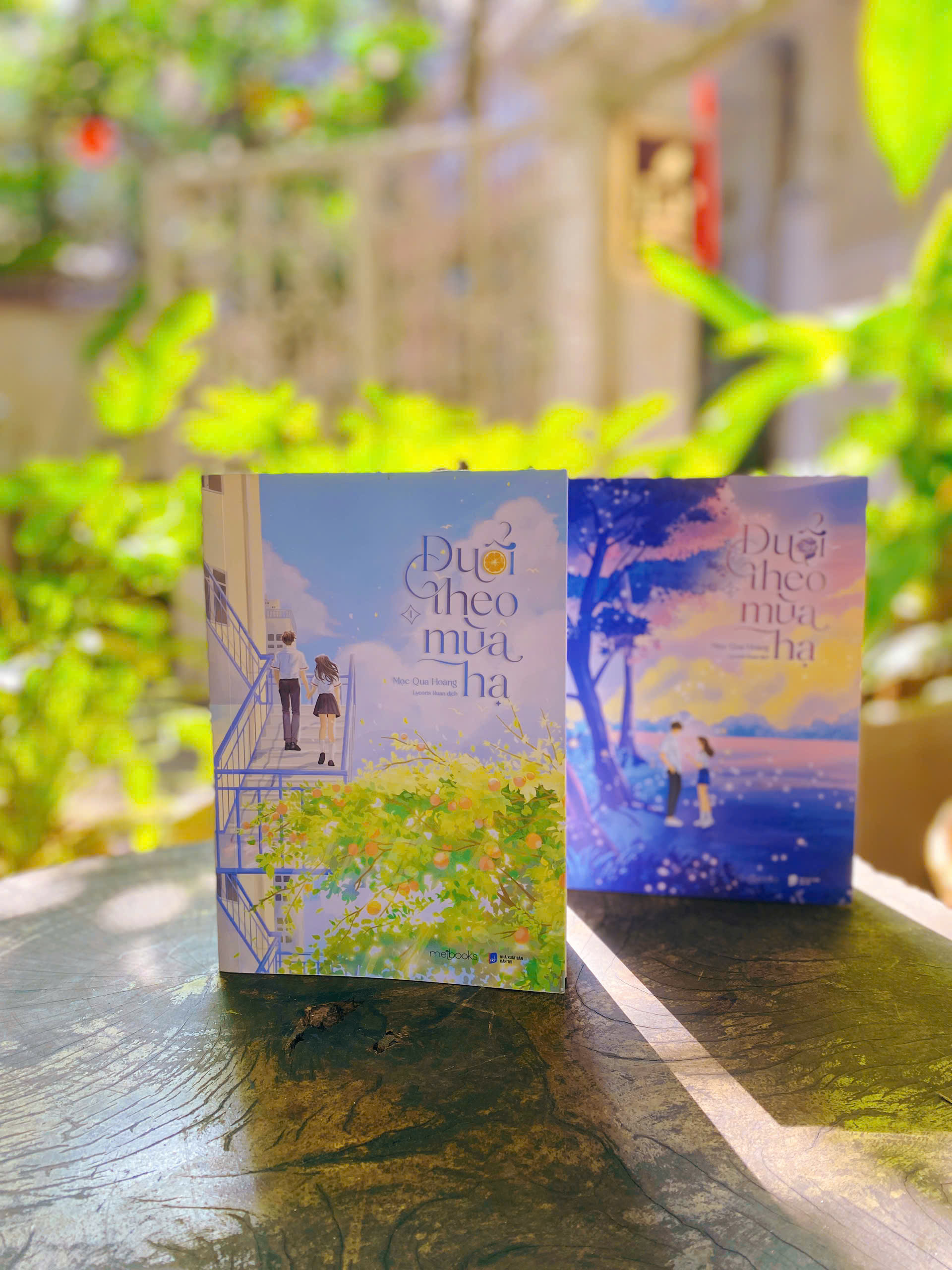 Bộ Sách Đuổi Theo Mùa Hạ - Tập 1 + Tập 2 (Bộ 2 Tập) (Tái Bản 2025) - Ảnh 5
