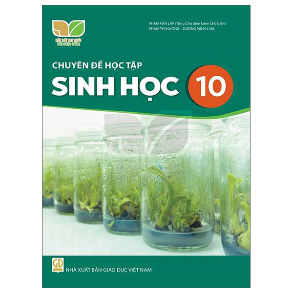 bộ sách giáo khoa lớp 10 - kết nối - chương trình chuẩn (bài học + bài tập) - Ảnh 3