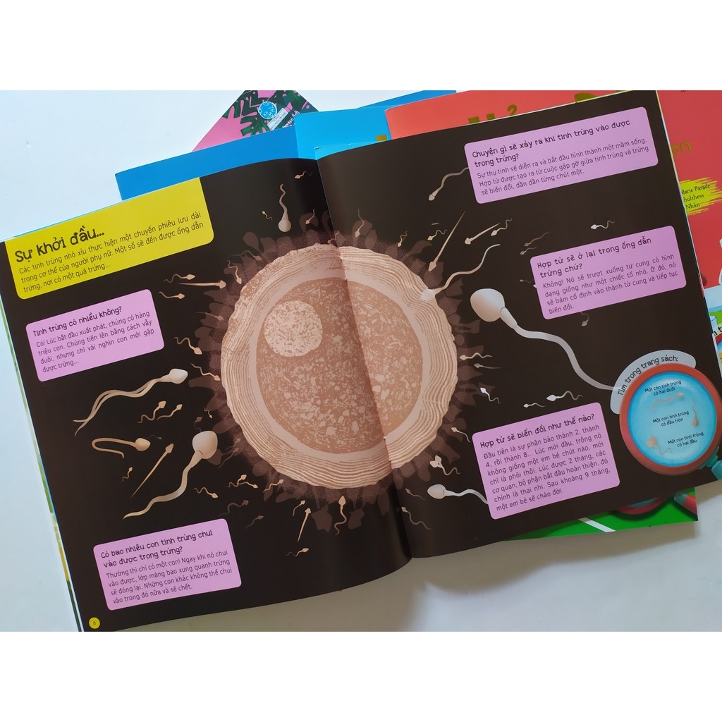 bộ sách hỏi - đáp (bộ 6 cuốn) - Ảnh 5