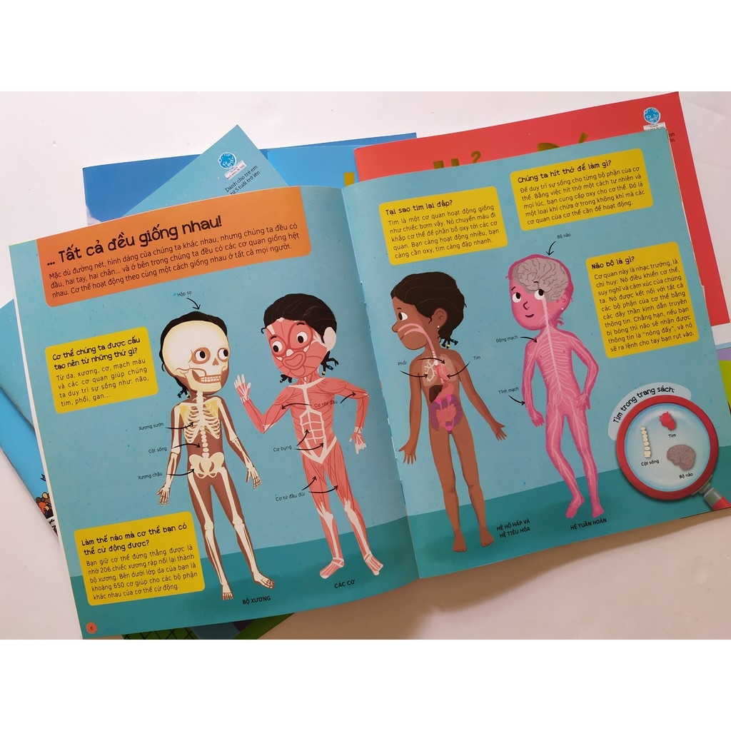 bộ sách hỏi - đáp (bộ 6 cuốn) - Ảnh 8