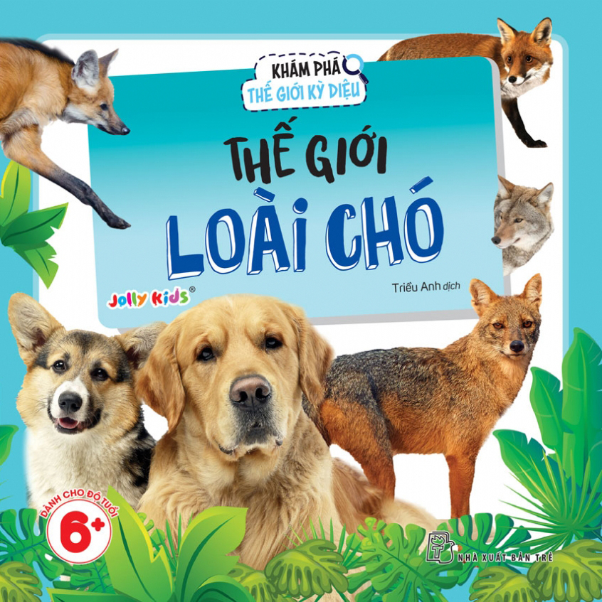 Bộ Sách Khám Phá Thế Giới Kỳ Diệu (Bộ 8 Cuốn) - Ảnh 5