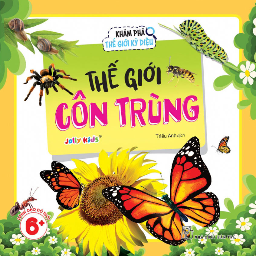 Bộ Sách Khám Phá Thế Giới Kỳ Diệu (Bộ 8 Cuốn) - Ảnh 6