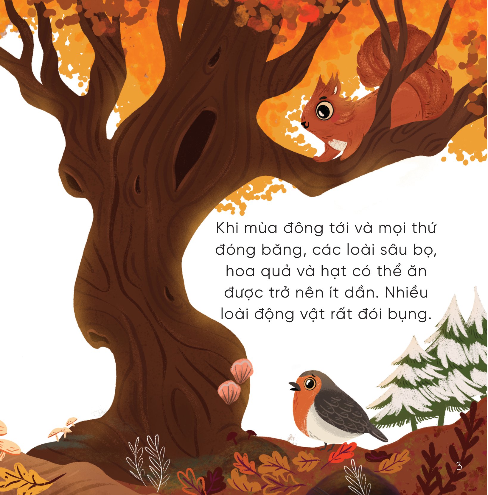 bộ sách những bài học nhỏ từ rừng xanh (bộ 4 cuốn) - Ảnh 13