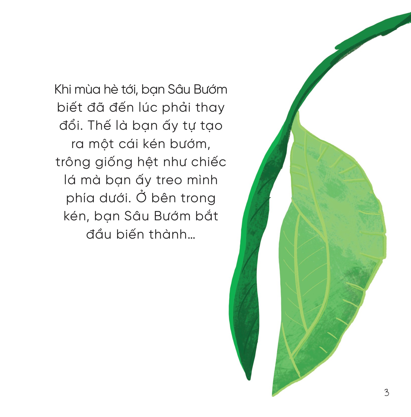 bộ sách những bài học nhỏ từ rừng xanh (bộ 4 cuốn) - Ảnh 4